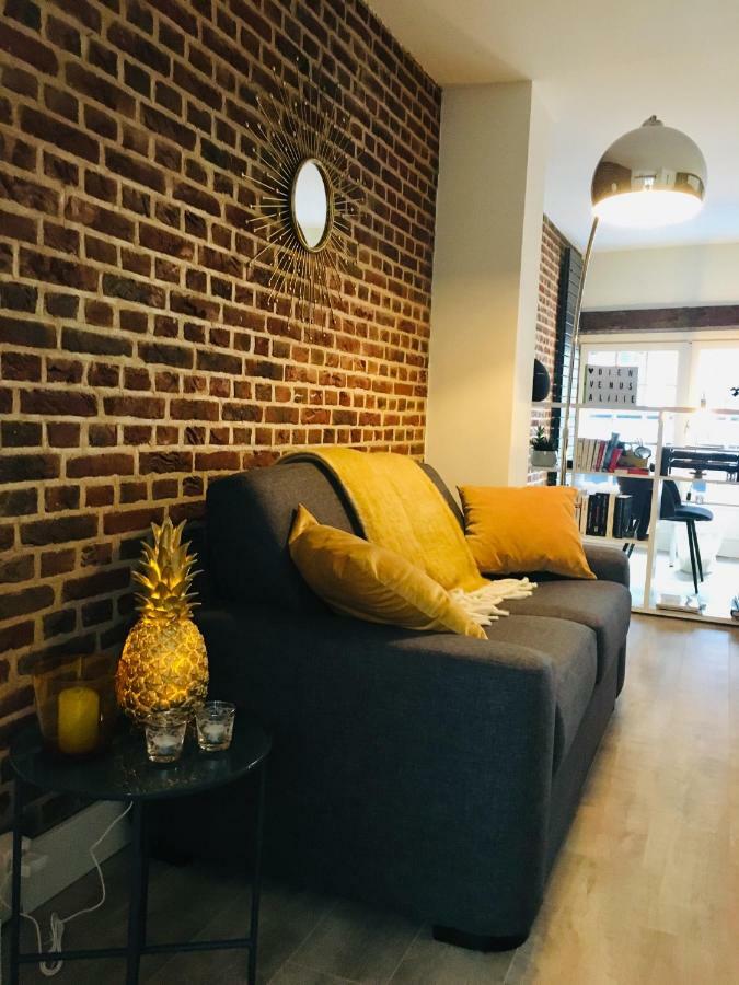 Appartement Heloise, Le Charme Du Vieux-Lille Exteriér fotografie